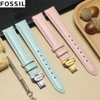 ★New★ สายนาฬิกา Fossil สายนาฬิกาหนัง Fossil สุภาพสตรีสายรัดข้อมือแ