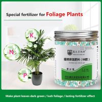 500G Bulk Blending Fertilizer Slow-Release Compound Fertilizer Special Fertilizer For Green Leaf Plants  Universal Fertilizer