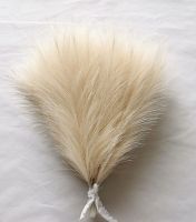 【YF】 Faux Pampas 10PCSSmall Artificial Pompas for VaseFake Fluffy Floral Wedding Boho