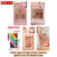 มีให้เลือก 5 แบบ Ustar Eye &amp; Chek Color Palette ยูสตาร์ อาย &amp; ชีค คัลเลอร์ พาเลท