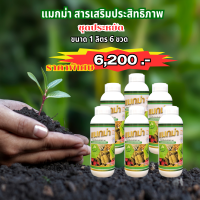 แมกม่า (MAXMA)ขนาด 1 ลิตร (6 ขวด) สารเสริมประสิทธิภาพแมกม่า ยาดูดซึม ไม่มีประจุ แอลกอฮอร์  ช่วยให้ปุ๋ยน้ำ ยากำจัดแมลง เพลี้ย หนอน ไรแดง ได้ดี