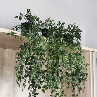 [ดอกไม้ประดิษฐ์ร้อน688] Plantas Colgantes De Plástico Artificales Para Pared Vojas Ramas Jardal Aire Liber Decorión Hogar Sala De Estar Arreglo ฟลอเรสเดอ Falsas De Ratán