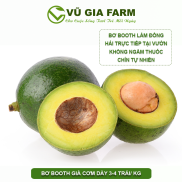 VG FARM Bơ 034 Bảo Lộc Lâm Đồng