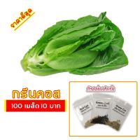 ✶เมล็ดผักสลัด กรีนคอส 100 เมล็ด 10 บาท งอกดีมีคู่มือการปลูก (Green Cos)   ผักอินทรีย์ เมล็ดพันธุ์ สลัด  เมล็ดผัก✫