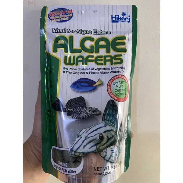 Hikari Algae Wafer 250g (Best for Pleco Bottom Feeding Algae Eating