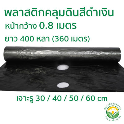 พลาสติกคลุมดินสีดำเงิน กว้าง 0.8 เมตร ยาว 400 หลา (360เมตร) เจาะรู 30 40 50 60 cm