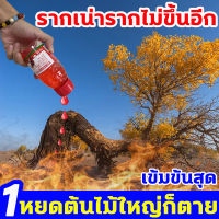 ไผ่ ต้นไม้ใหญ่ วัชพืช รากตายหมดแล้ว ยากำจัดต้นไม้ 200ml เข้มข้นสุด 1 ขวดเท่ากับ 10 ขวด ยากำจัดต้นไม้ใหญ่ ตรงไปที่ราก ไม่เป็นอันตรายต่อดิน ยาฆ่าต้นไม้ ผลติดทนนาน ไม่เป็นอันตรายต่อดิน ผงกำจัดต้นไม้ ใช้เพียงเล็กน้อย กำจัดต้นไม้ ผงฆ่าต้นไม้ ยาฆ่าหญ้า