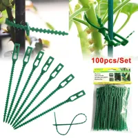 100pcs Reusable 13cm Plastic Plant Support Clips Clamps For Plants Hanging Vine Garden Greenhouse Vegetables Tomatoes Clips