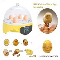 geegostudio 1pc Egg Incubator Automatic, Poultry Hatcher Small Digital Incubators Breeder Temperature And Humidity Control, For Chicken Pheasant Quails Birds Pigeon, 7 Eggs