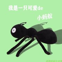 Original Insect Series Simulation Small Ant Plush Toy Doll Doll Childrens Enlightenment Birthday Gift