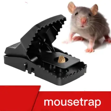 Rat-catching Artifact Non-toxic Safe Indoor Outdoor Mouse Trap Pest Control  Home Automatic Mousetrap Rat Rodent Exterminator - AliExpress