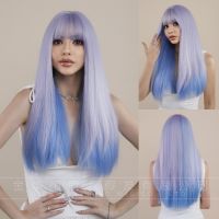 WIGCUBE  วิกผม พรีเมี่ยม ไล่ระดับสี ปลายตรง ผมตรง แถม net ฟรี วิกผมคอสเพลย์ Hair Wig shzt