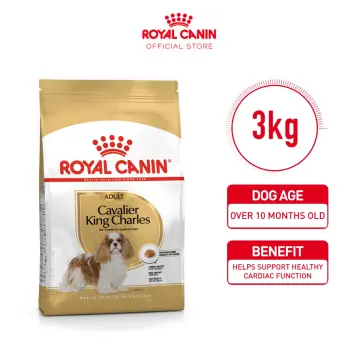 Shop Royal King Dog Food with great discounts and prices online