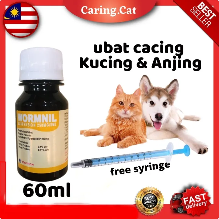 Wormnil Suspension 60ml Ubat Cacing Kucing Anjing Free Syringe Lazada