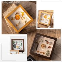 ▫ 5/6-inch Specimen Box Wooden Box Hollow Specimen Photo Frame for Dried Flowers Butterfly Insect Clay Display Stand