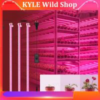 KYLE Wild Shop Plants Full Spectrum LED flower Grow tent box Light grow Greenhouse Phyto lamp kit red blue veg Indoor Cultivation Growth Lights