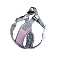 Explosion-Proof Dogs Harnesses Leashes Suit Reflective Adjustable Breathable Pets Vest Leash Personality Walking Run Pet Product