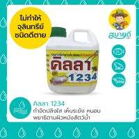 ถูก !!! คิลลา 1234? กำจัดปลิงใส เห็บระฆัง จุดขาว พยาธิตามผิวหนัง เกล็ดพอง แผลตามตัว ไม่มีสารตกค้างในปลา