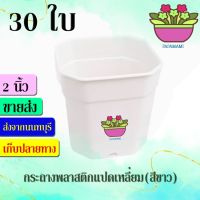 (30ใบ) papamami กระถางพลาสติก กระถางขาว แปดเหลี่ยม 2นิ้ว กระดิ่ง กระถางปลูกต้นไม้ กระถางต้นไม้ ที่ปลูกต้นไม้ กระถางแค็คตัส กระถางปลูกตอ กระถ