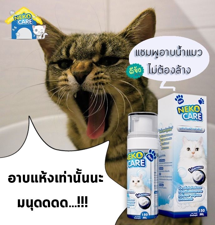 neko-care-โฟมอาบน้ำแมว-โฟมอาบน้ำแห้ง-แชมพูอาบน้ำ-แชมพูโฟมอาบแห้งน้องแมว-ฟองโฟมอาบน้ำ-แชมพูอาบน้ำแมว-ชมพูอาบน้ำแมว-ดับกลิ่น