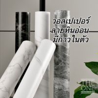 สติกเกอร์กันน้ำและน้ำมันตกแต่งใหม่ วอลล์เปเปอร์พรีเมี่ยม?? Wall