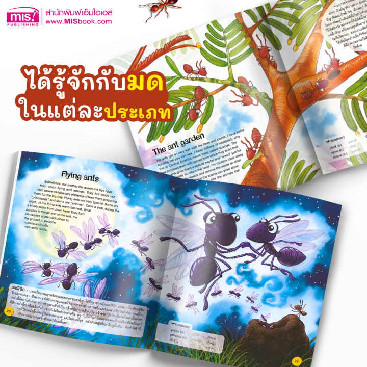 หนังสือ-เปิดโลกใบเล็กของ-มด