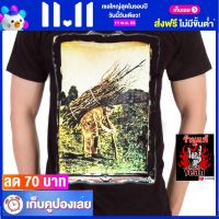 เสื้อวง LED ZEPPELIN ร็อคในตำนาน อมตะ เลด เซพเพลิน ไซส์ยุโรป RDM1644