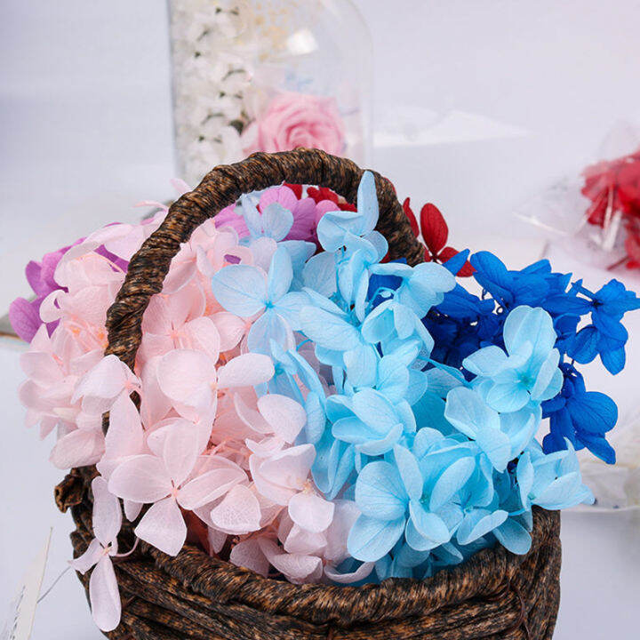 cw-hydrangea-dried-flower-preserved-decor-for-crafts-handmade-diy-flowers-garland-accessorie-wedding-birthday-party-decoration