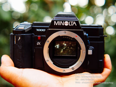 ขายกล้องฟิล์ม Minolta a7000 Serial 16232542 Body Only กล้องฟิล์มถูกๆ สำหรับคนอยากเริ่มถ่ายฟิล์ม