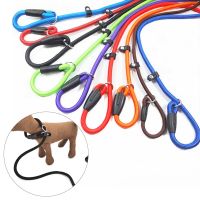 Pet Dog Leash Rope Nylon Adjustable Training Lead Pet Dog Leash Dog Strap Rope Walking Rope Traction Dog Harness Collar Lead Leashes