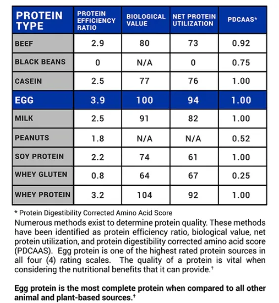 2021年新作入荷 プルーブン エッグ 100％エッグプロテイン ココナッツ 900g Proven Egg Gaspari Nutrition  ガスパリ ギャスパリ via-talent.fr