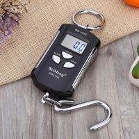 WH-C200 Micro Crane Scale อิเล็กทรอนิกส์แบบพกพา Scale 200KG/100G พร้อม Hook Scale สำหรับอุตสาหกรรม,การเกษตร, ครอบครัว-dfgsrertersd