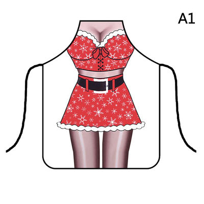 Funny Kitchen Apron Cooking Baking Party Cleaning Aprons for Christmas Apron