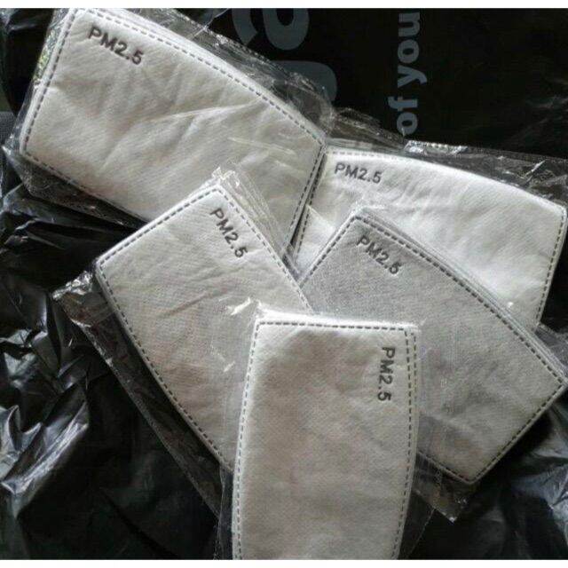 PM 2.5 Activated Carbon Mask Filter (10pcs) Lazada PH