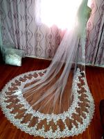 Real shot wedding cathedral on the first floor with comb acrylic diamond Lace Applique veil with comb luxury 3M long Bridal Veil Hair Accessories