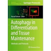 Autophagy ในความแตกต่างและวิธีการบำรุงรักษาเนื้อเยื่อ