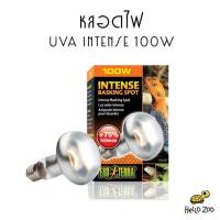 Exo Terra Intense Basking Spot 100W หลอดไฟ UVA แสงกระจุกตัว สำหรับกกไฟกลางวัน (กล่องส้ม) [EX02]