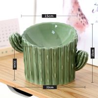 Cactus Cat And Dog Raised Food Bowl Elevated Ceramic Pet Bowl Tilted For Flat Faced Cats And Small Dogs Protect Pets Spines Neck