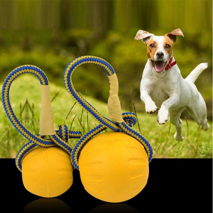 ฝึกสุนัข7-9ซม-ลูกบอลของเล่นยางแข็งเล่นกัดของเล่นที่ไม่สามารถทำลายได้ลูกบอลสำหรับเคี้ยวมาพร้อมกับเชือกสำหรับอุ้มกัด-yy-ร้านค้า