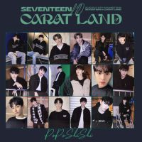 ? SEVENTEEN 2022 CARAT LAND TRADING CARD ?