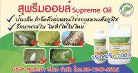 สารเพิ่มประสิทธิภาพจากธรรมชาติ "สุพรีมออยล์ (Supreme Oil)" เพื่อเสริมประสิทธิภาพ จับติด และดูดซึม ให้กับสารเคมีเพื่อการเกษตรทุกชนิด