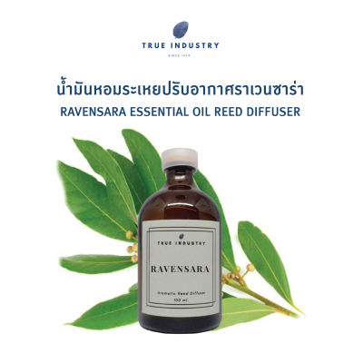 น้ำมันหอมระเหย ราเวนซาร่า สำหรับปรับอากาศ (Ravensara Essential Oil Reed Diffuser)