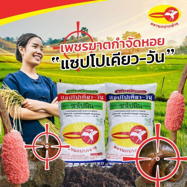 ส่งฟรี-กากชา-กำจัดหอย-ซาโปนิน-10กก