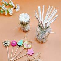 100Pcs 15/20cm Long Food-Grade Solid White Pop Sucker Chocolate Cake Lollipop Lolly Candy Making Mould Paper Sticks