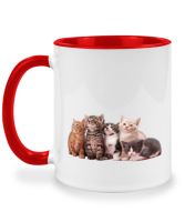 แก้วมัค ลูกแมว Kitten domestic cat แมว cat แก้วสกรีนชื่อ แก้วสองสี แก้วสกรีน แก้วกาแฟ ของขวัญ twotone coffee mug