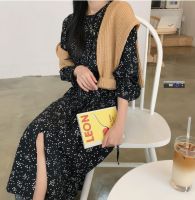 2021 New Print Summer Dress Dot Evening Vintage Dresses Party Oversize Long Sleeve Beach Women Dress Robe Vestido Prom