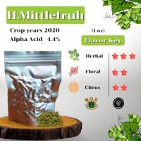 Hallertau Mittelfruh Hops GER (1oz) Crop years 2020 (บรรจุด้วยระบบสูญญากาศ)