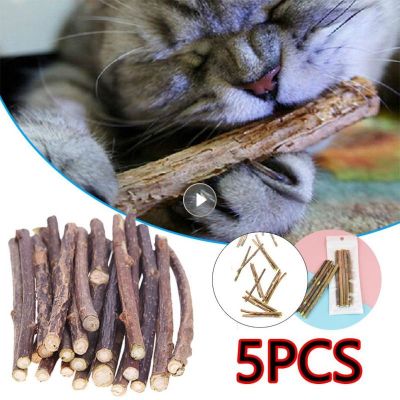 Catnip Stick Pet Cat Molar All Natural Self-healing Toys Wooden Polygonum Cleaning Teeth Relieve Boredom Snacks Chews Supplies