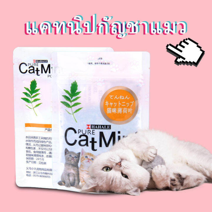 ผงแคทนิป แคทนิปกัญชาแมว Cat Mint กัญชาแมวขนาด 5g Lazada.co.th
