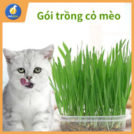 Maddie Cat Snacks Kitten Grass Set Gồm Hộp + 1 Gói Đất Sét + 1 Gói Hạt Lúa thumbnail